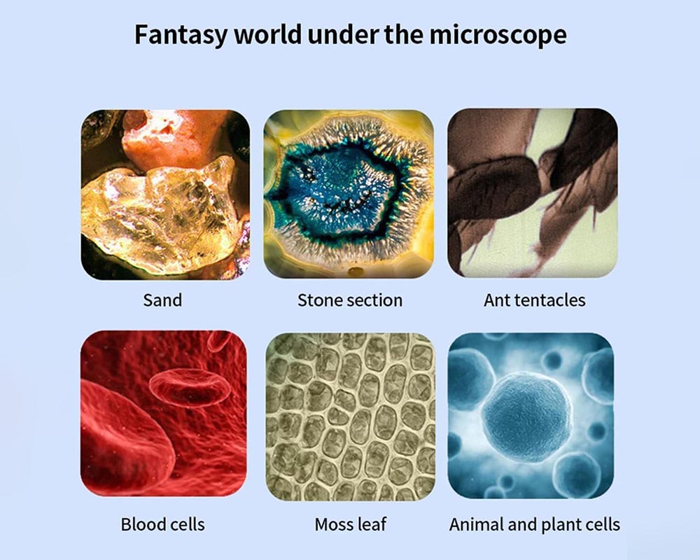 Portable Kids Microscope Kit