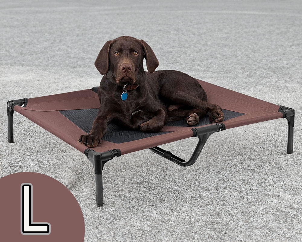 Dog Bed Portable Pet Bed with Non-Slip Feet