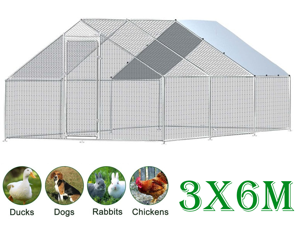 Outdoor Chicken Coop