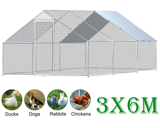 Outdoor Chicken Coop