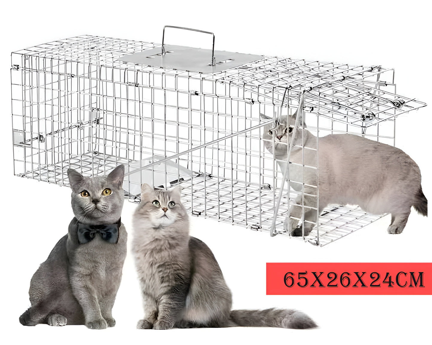Animal cage trap Possum trap Squirrel trap Raccoon trap