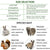 Animal Cage Trap – Possum Trap for Safe and Humane Capture