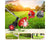 Electric Cordless 24V Lawnmower – Battery-Powered, Metal Blade, Telescopic Handle, Low Noise, Portable Weed Trimmer for Gardens & Farms