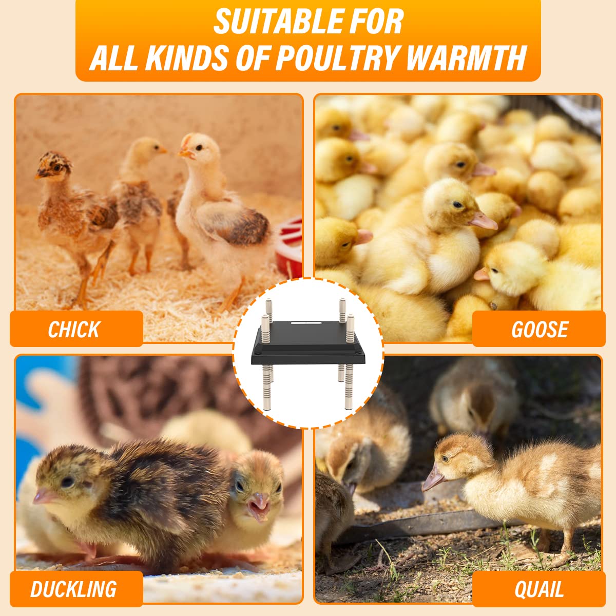 Brooder Heater for Chicks: Adjustable Height Chick Heater Plate