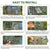 Animal Cage Trap Possum Trap Possum Trap Animal Cage Trap