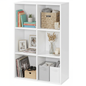 Elegant Bookcase Organizer for Home and Office