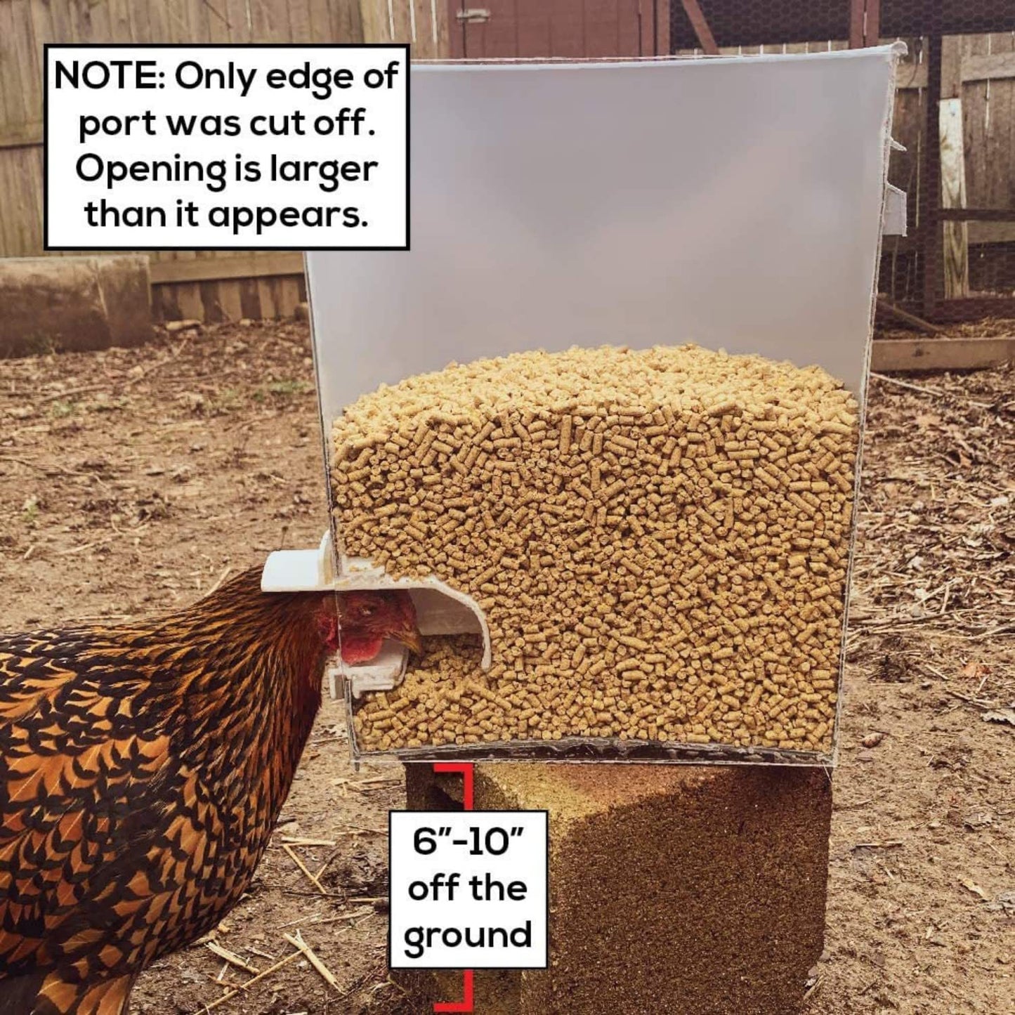 DIY Chicken Feeder Kit – Automatic Gravity Poultry Feeder