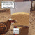 DIY Chicken Feeder Kit - No Waste, Automatic Gravity Feeder for Poultry