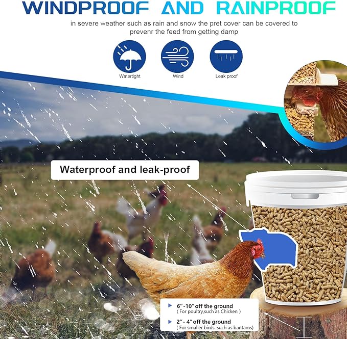 DIY Chicken Feeder Kit – Automatic Gravity Poultry Feeder