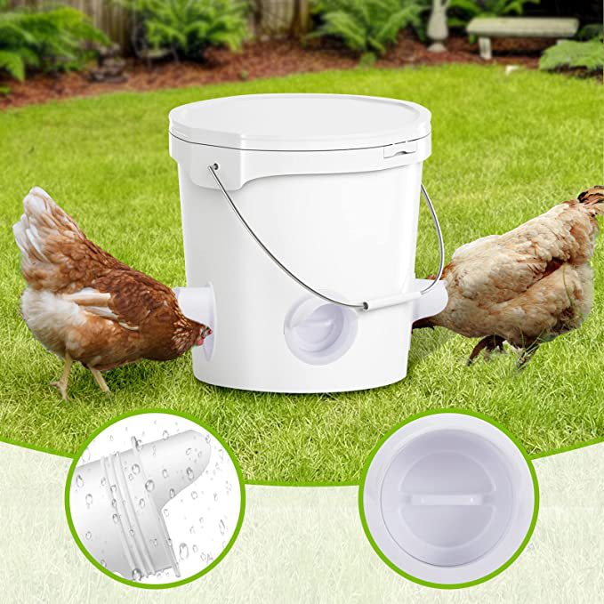 DIY Chicken Feeder Kit – Automatic Gravity Poultry Feeder