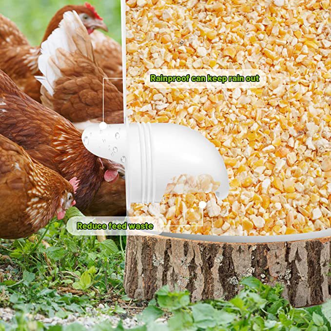 DIY Chicken Feeder Kit – Automatic Gravity Poultry Feeder