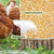 DIY Chicken Feeder Kit - No Waste, Automatic Gravity Feeder for Poultry