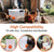 DIY Chicken Feeder Kit - No Waste, Automatic Gravity Feeder for Poultry
