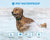 Rechargeable Smart Barking Collar, Anti Bark Training Collar with 5 Adjustable Sensitivity Beep and Vibration No Shock