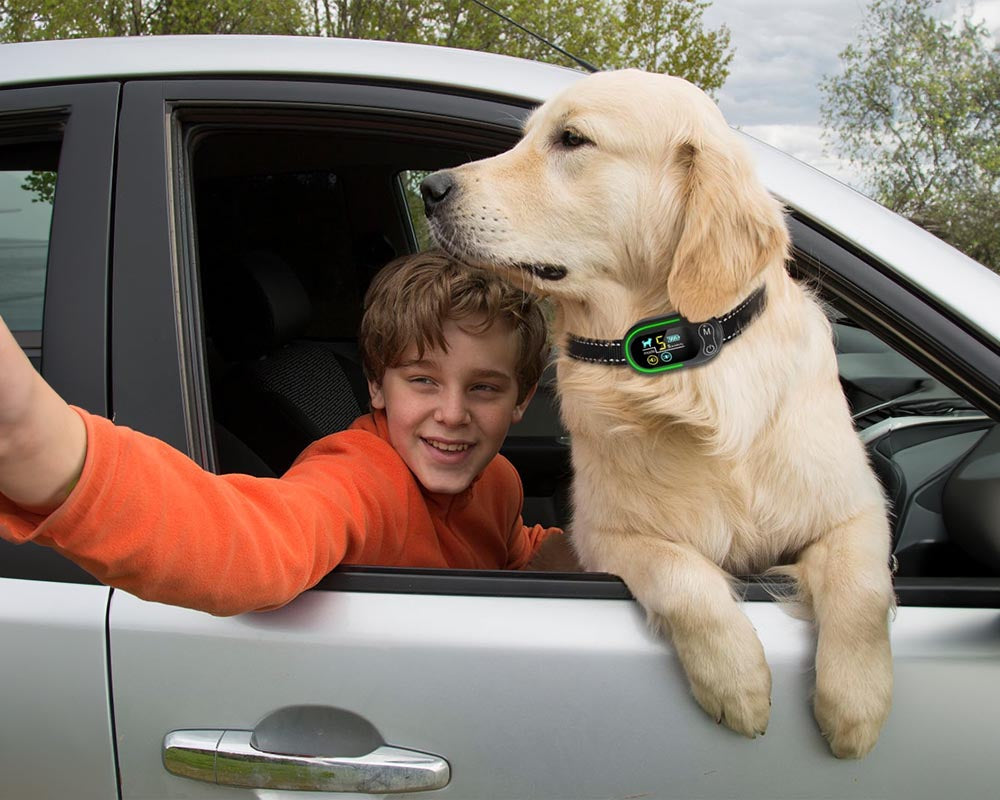 Rechargeable Smart Barking Collar, Anti Bark Training Collar with 5 Adjustable Sensitivity Beep and Vibration No Shock