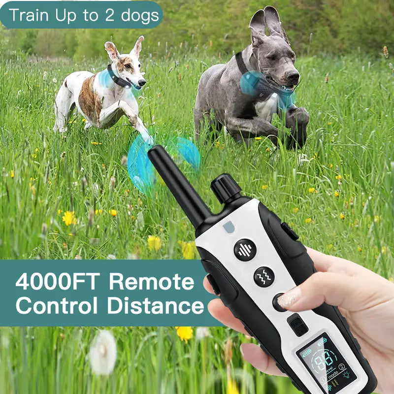 Rechargeable Dog Training Collar with 3 Modes