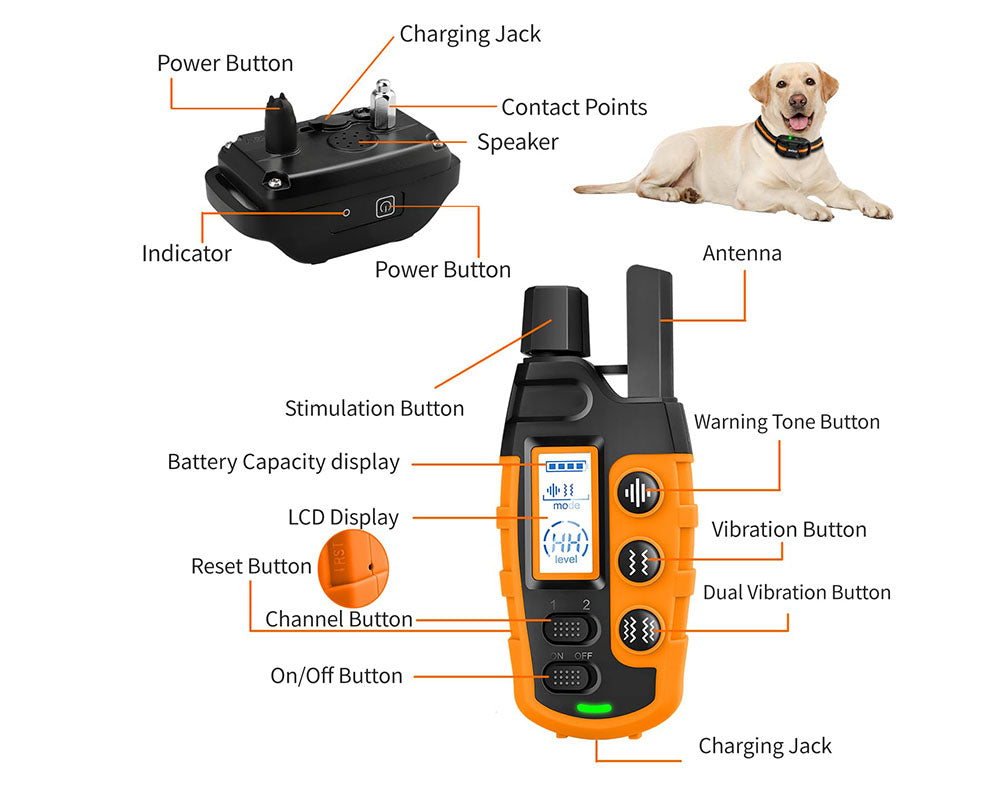 Dog Training Collar with Remote – 3300Ft Range, Rechargeable, Waterproof, and 3 Training Modes