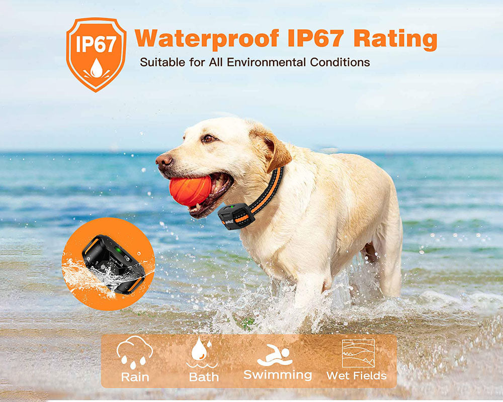 Dog Training Collar with Remote – 3300Ft Range, Rechargeable, Waterproof, and 3 Training Modes