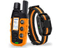 Dog Training Collar with Remote – 3300Ft Range, Rechargeable, Waterproof, and 3 Training Modes
