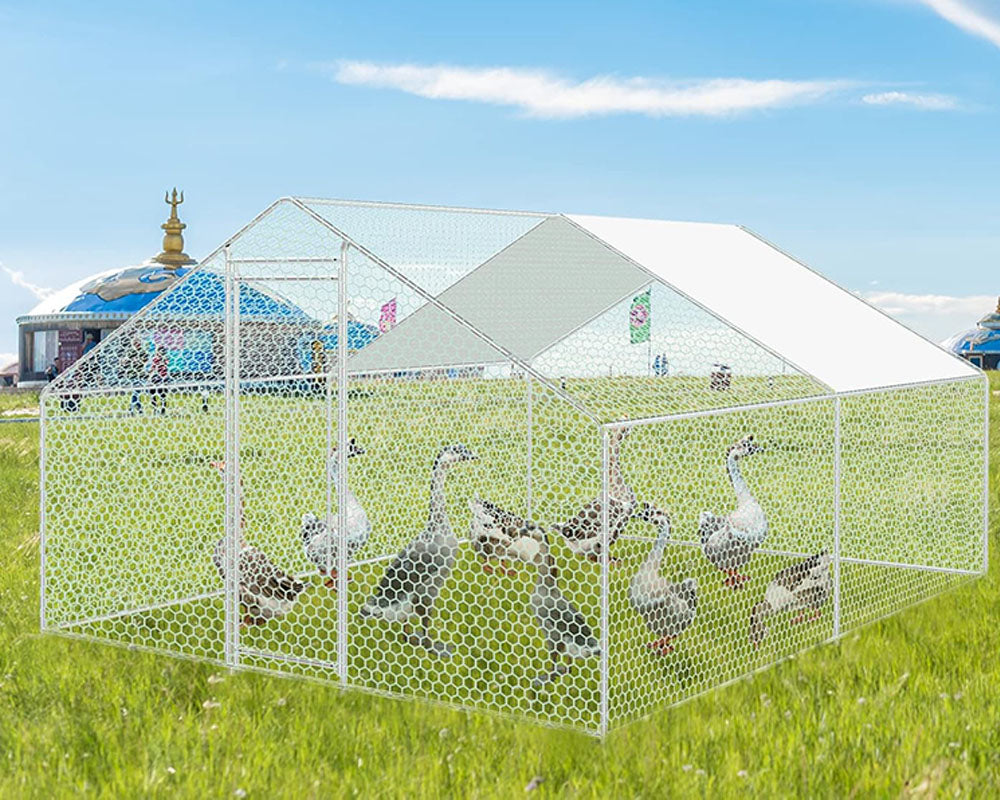 Galvanised Steel Outdoor Chicken Coop 4Mx3M