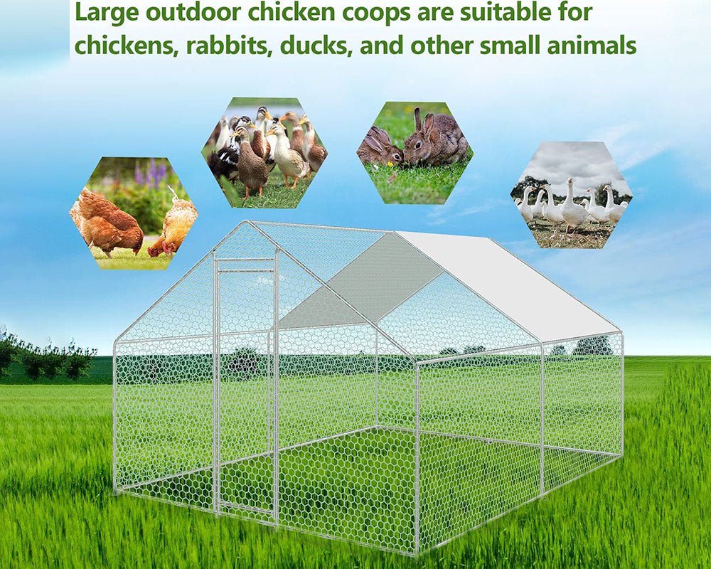 Galvanised Steel Outdoor Chicken Coop 4Mx3M