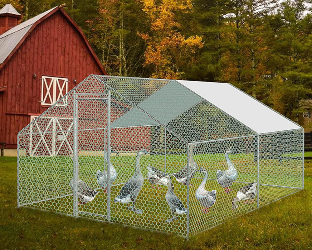 Galvanised Steel Outdoor Chicken Coop 4Mx3M