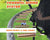 10FT Recreational Trampoline with Enclosure Net and Ladder