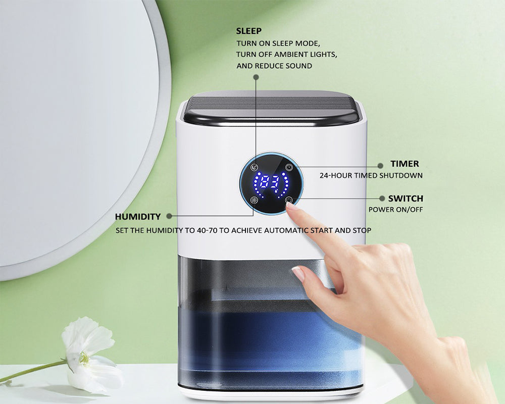 Dehumidifier Portable