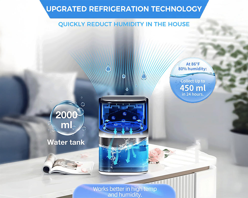 Dehumidifier Portable