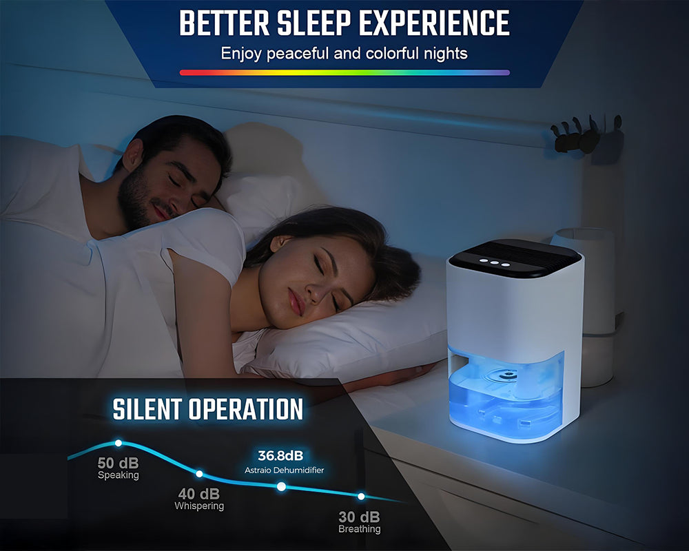 Dehumidifier Portable