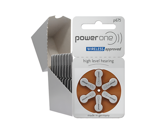 Hearing Aid Batteries