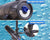 All in One Pond Pump Filter with Fountain & UV Sterilizer for Crystal Clear Water