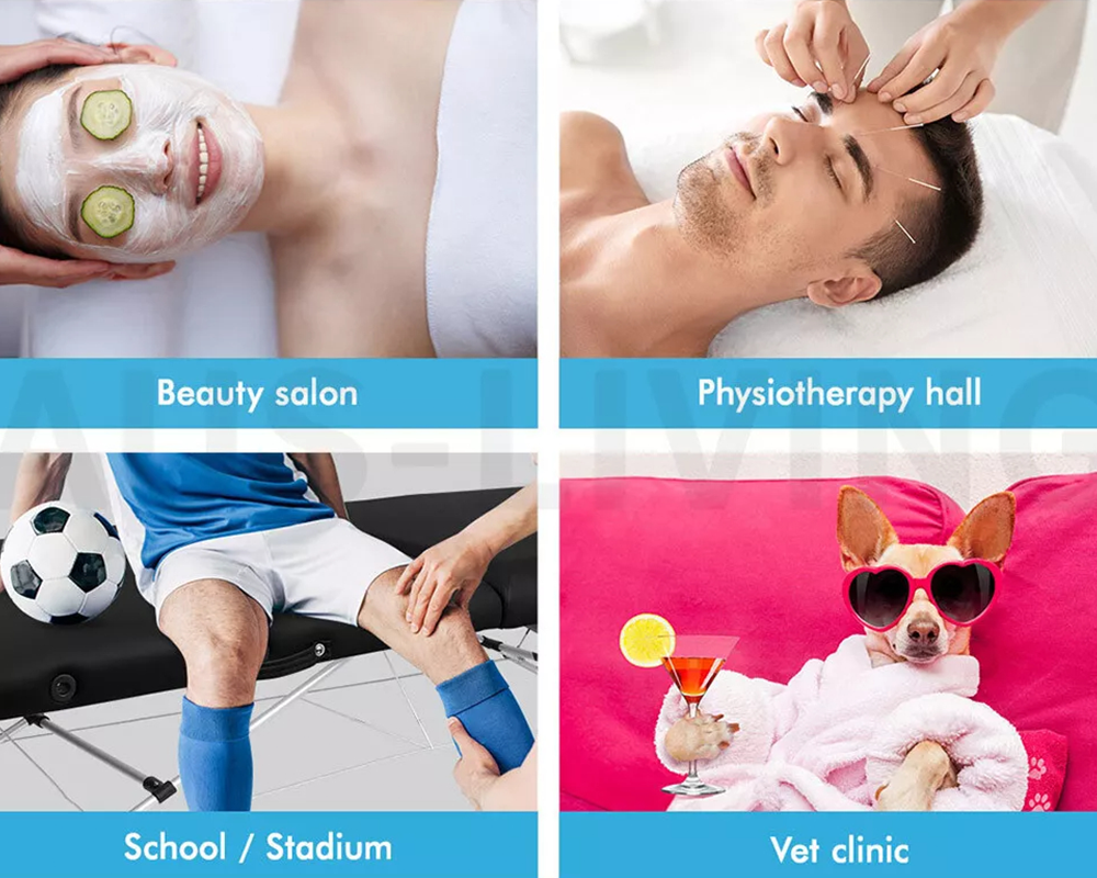 Portable Massage Table