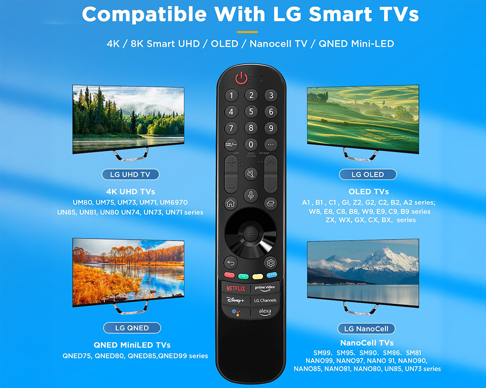 Replacement LG TV Remote