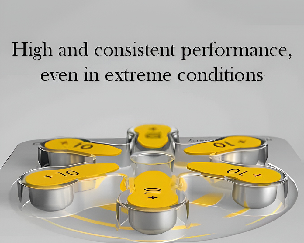 P10 Hearing aid Battery