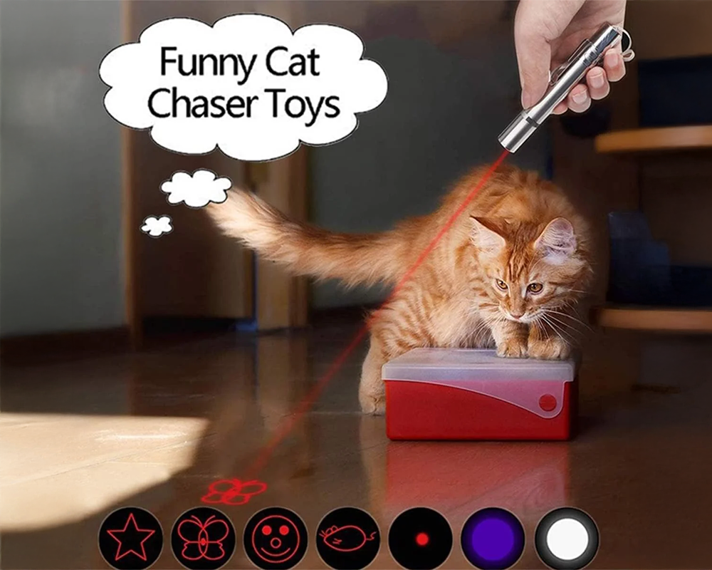 Cat Toy UV Torch Pen – Rechargeable Laser Cat Toy for Pet Training