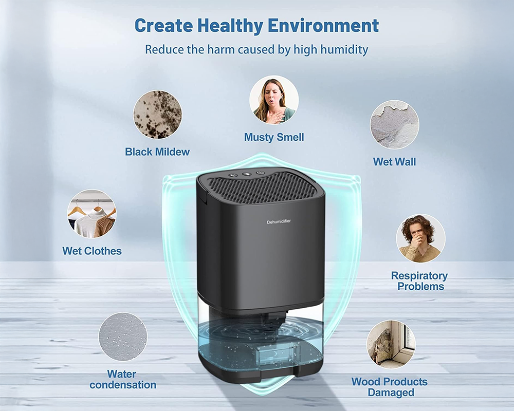 Dehumidifier Portable