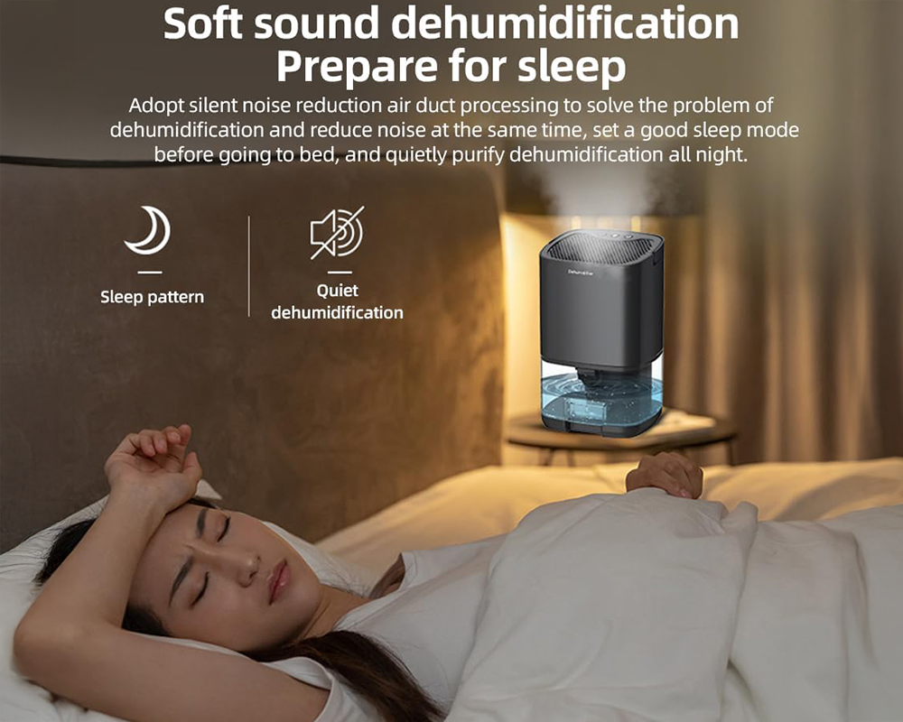 Dehumidifier Portable
