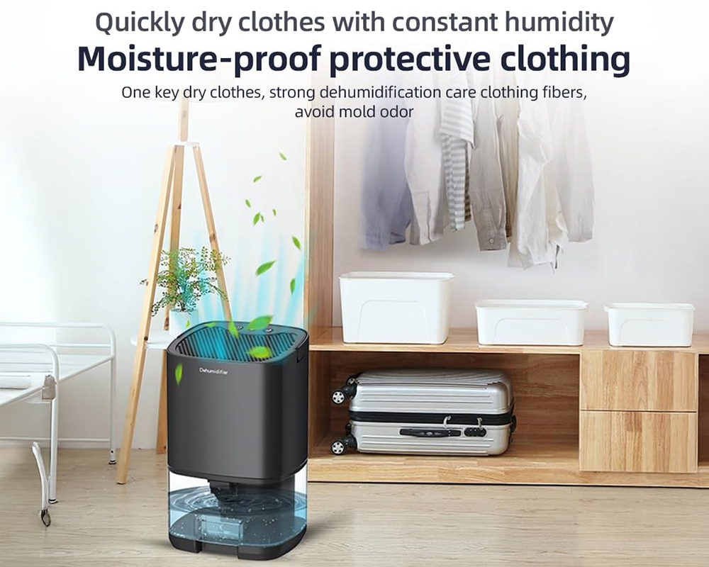 Dehumidifier Portable