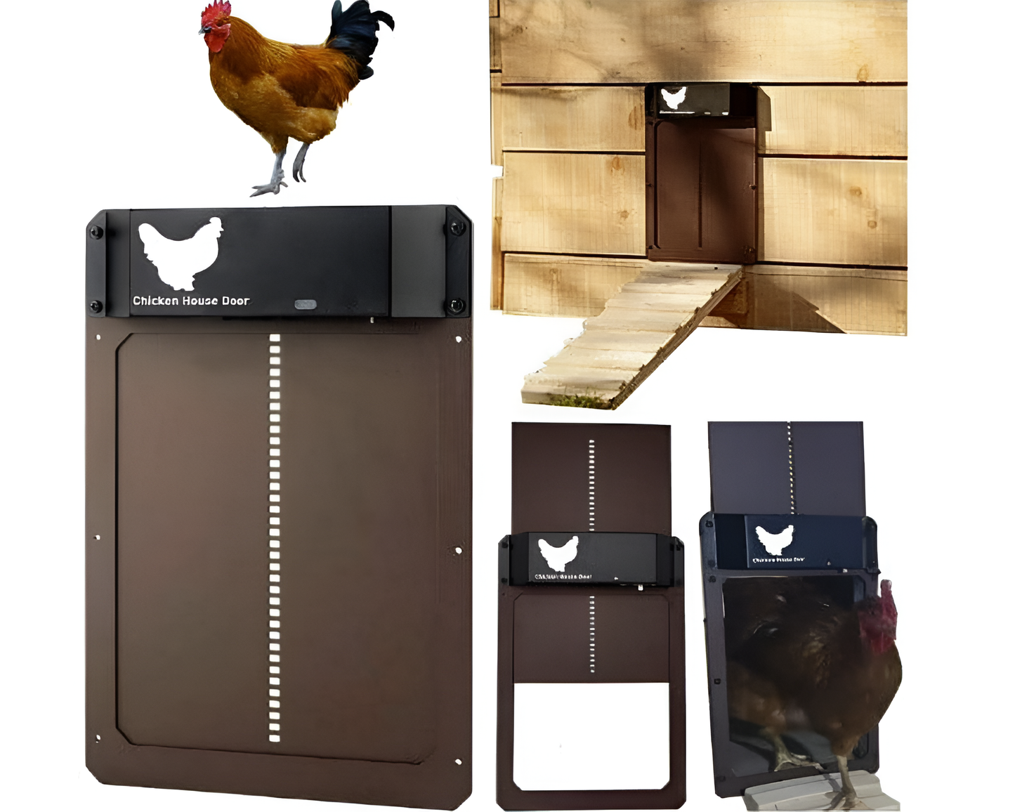 Light Sensing Auto Chicken Door Opener for Poultry Protection