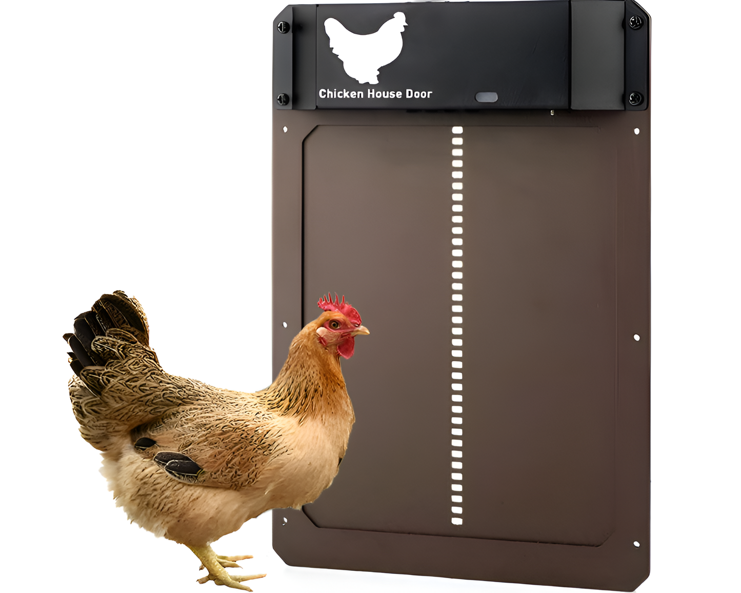 Light Sensing Auto Chicken Door Opener for Poultry Protection