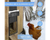 Automatic Chicken Coop Door Solar – Remote LCD Automatic Chicken Coop Door