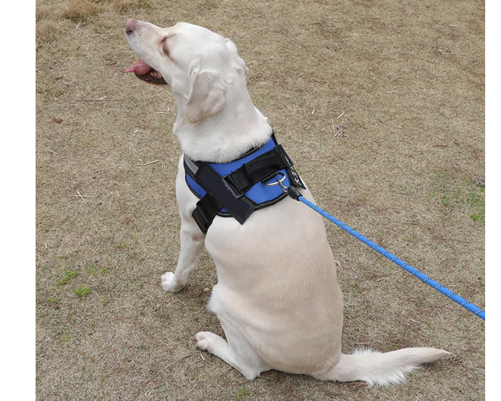 Adjustable Dog Harness – No Pull Reflective Tactical Vest with Handle for Training & Outdoor Walking (Blue)