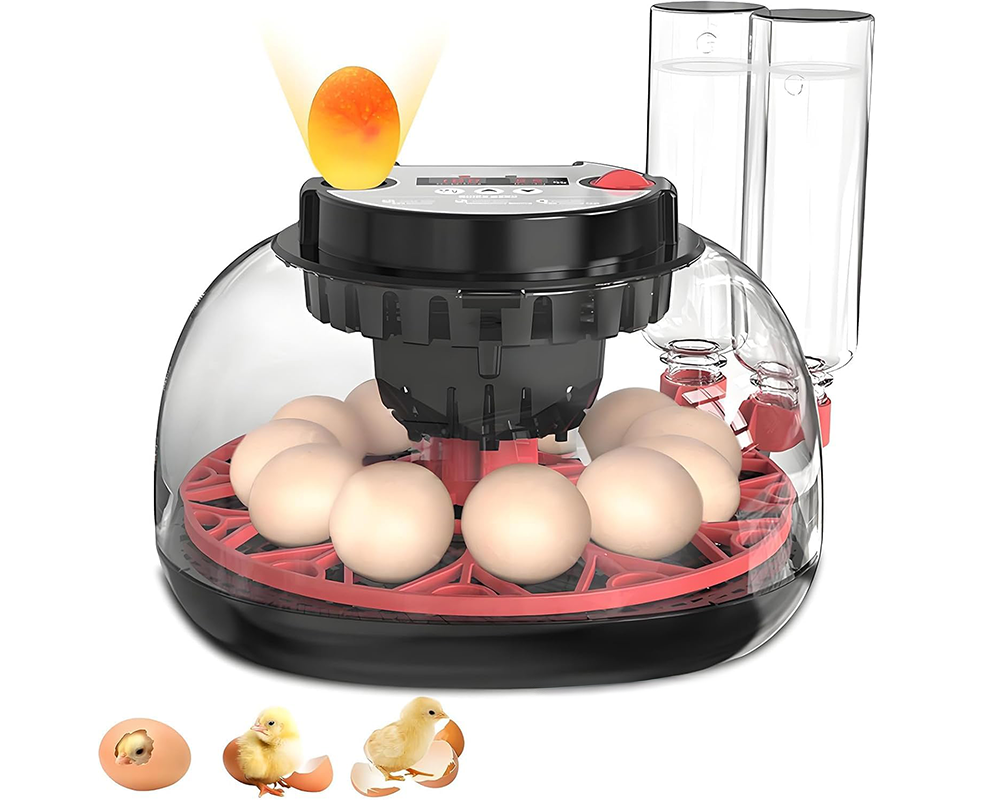 Egg Incubator Auto Turner 12 Eggs Egg Incubator with Candler & Display