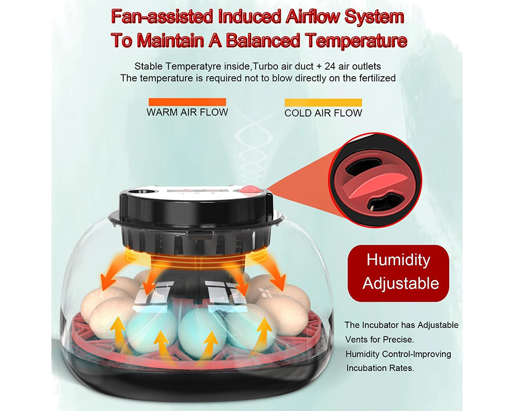 Egg Incubator Auto Turner 12 Eggs Egg Incubator with Candler & Display