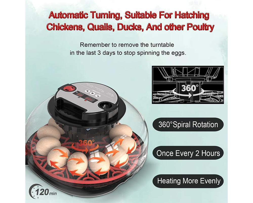 Egg Incubator Auto Turner 12 Eggs Egg Incubator with Candler & Display