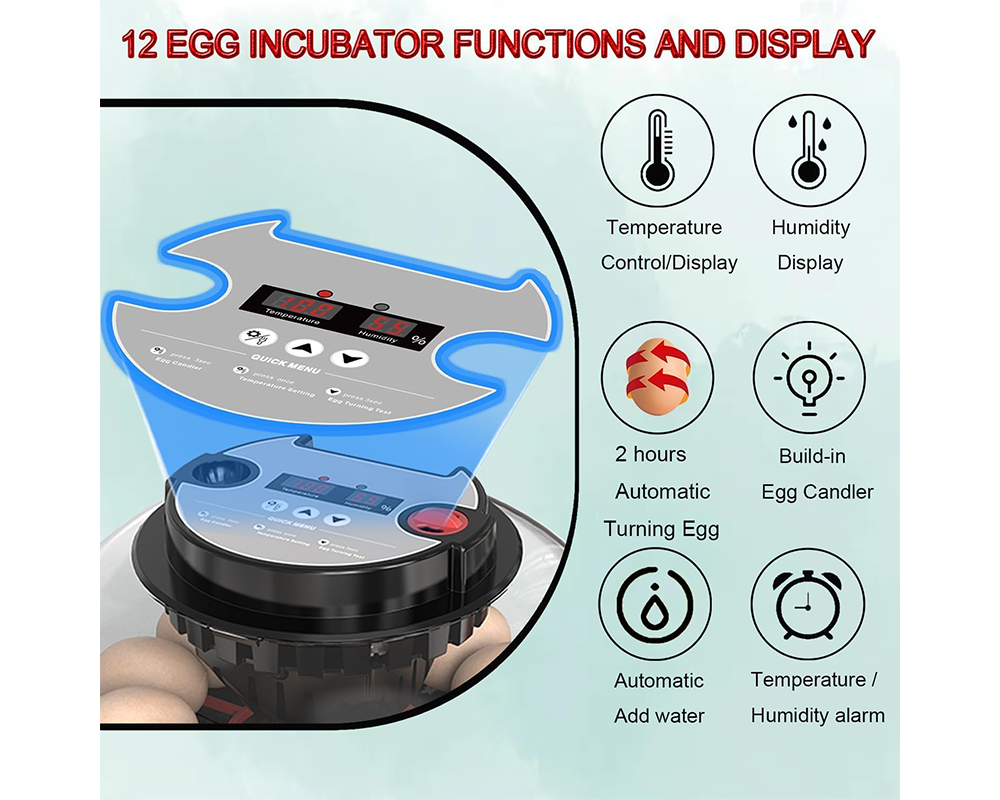 Egg Incubator Auto Turner 12 Eggs Egg Incubator with Candler & Display