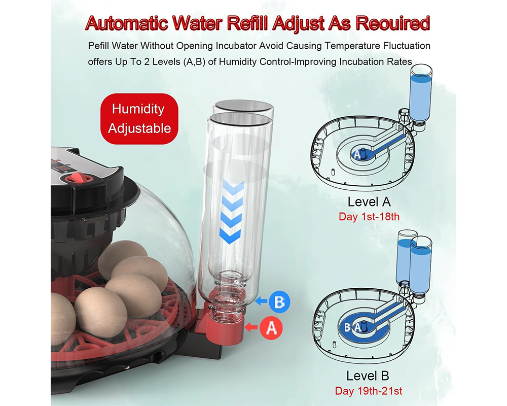 Egg Incubator Auto Turner 12 Eggs Egg Incubator with Candler & Display
