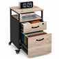 Mobile Filing Cabinet 2 Drawer Rolling Office Storage Cabinet with Lock