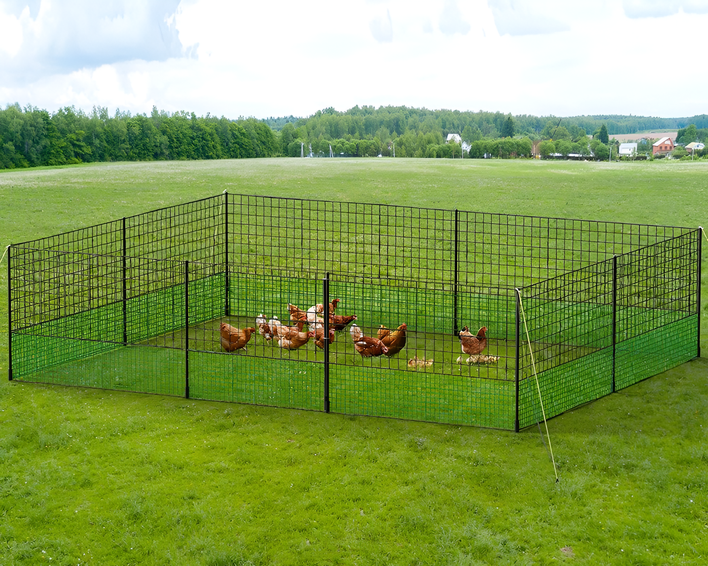 Poultry Chicken Fence Net Set– 1.25m x 24m Poultry Chicken Netting Fence Fencing